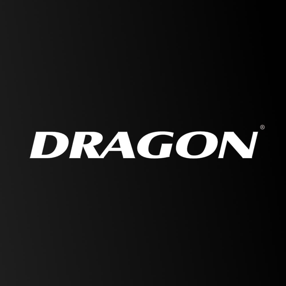 DRAGON LOGO